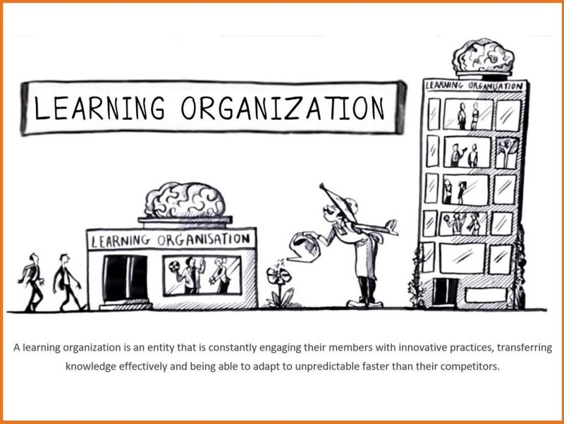 Learning organization