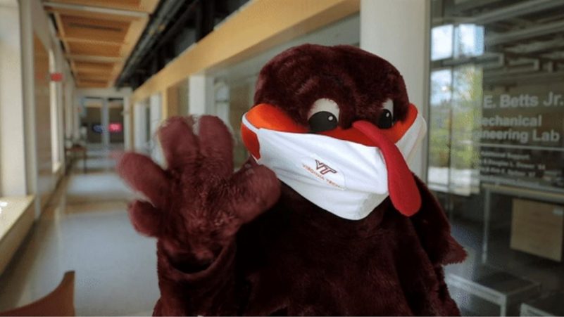 Masked Hokie Bird 
