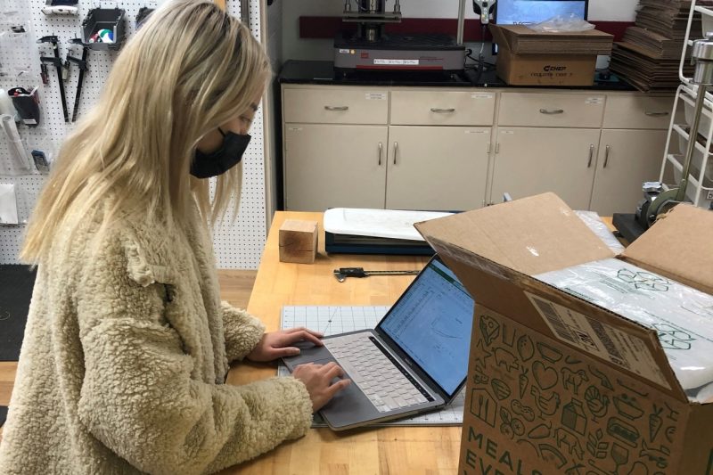 Image 3. Livvy entering data from testing meal kits. Image 3. Livvy entering data from testing meal kits.