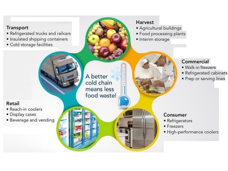 Image 1. The various locations and needs of a cold chain.